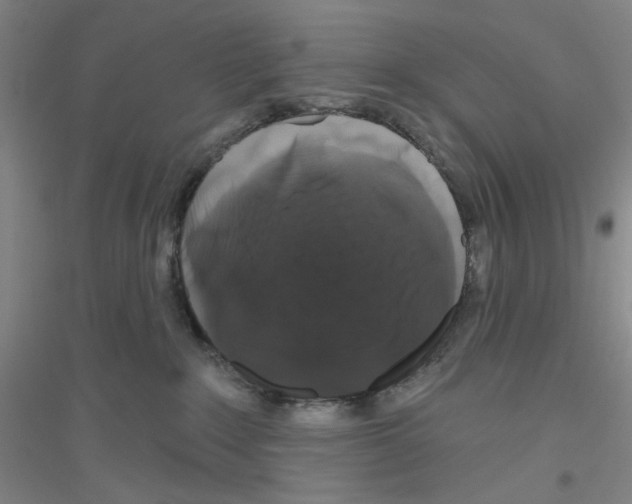 X0000116870235201002021134