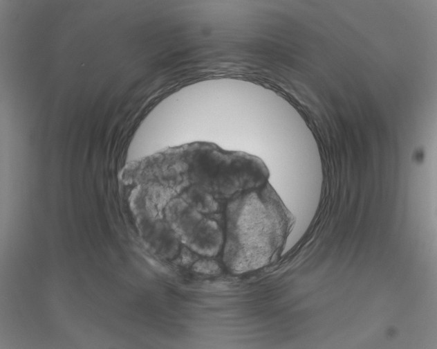 X0000116870236201002021134