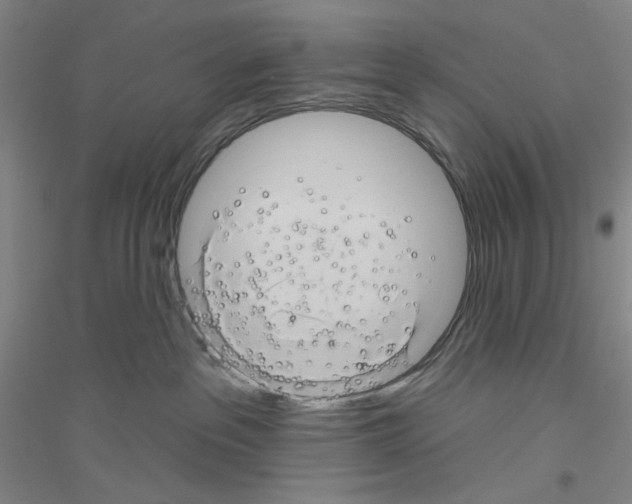 X0000116870237201002021134