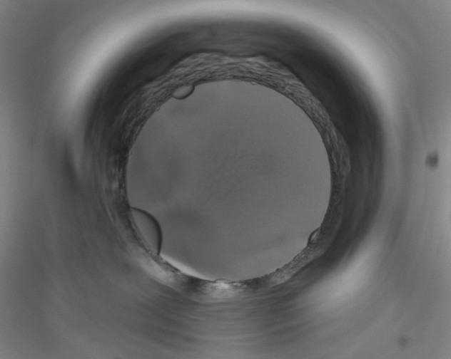 X0000116870239201002021134