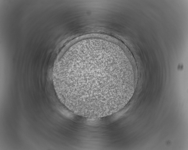 X0000116870240201002021134