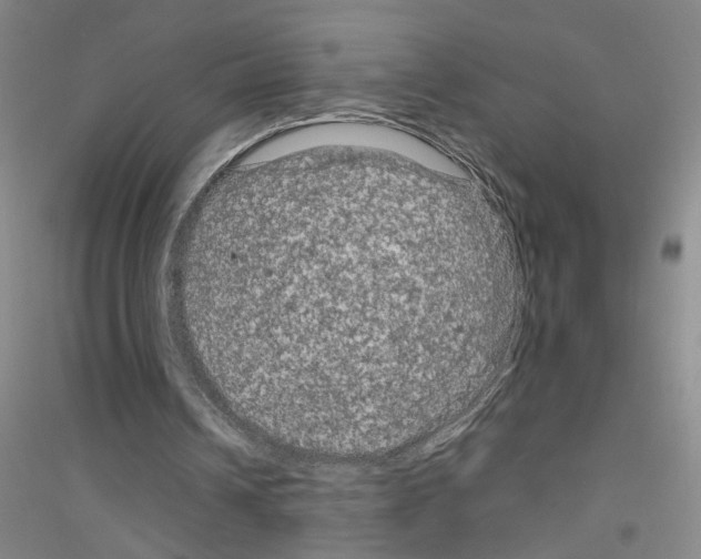 X0000116870242201002021133