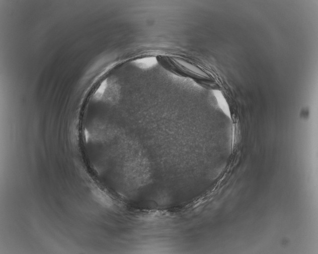 X0000116870243201002021133