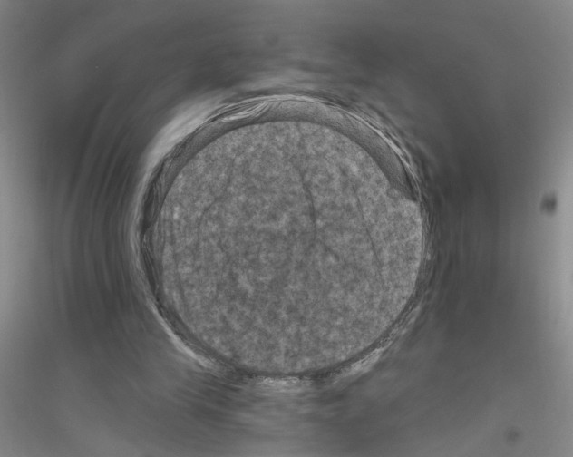 X0000116870245201002021133