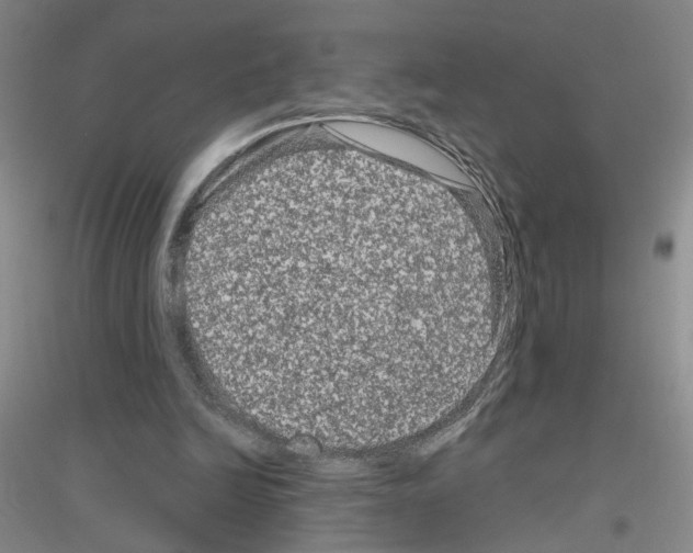 X0000116870246201002021133