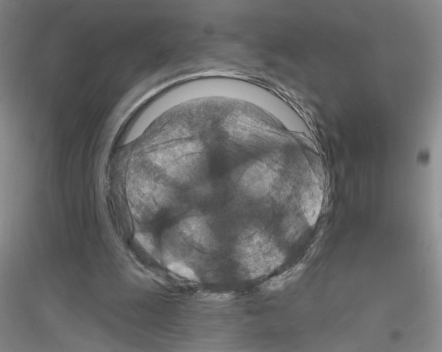 X0000116870247201002021133