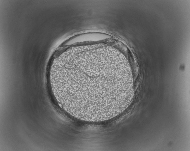 X0000116870248201002021133