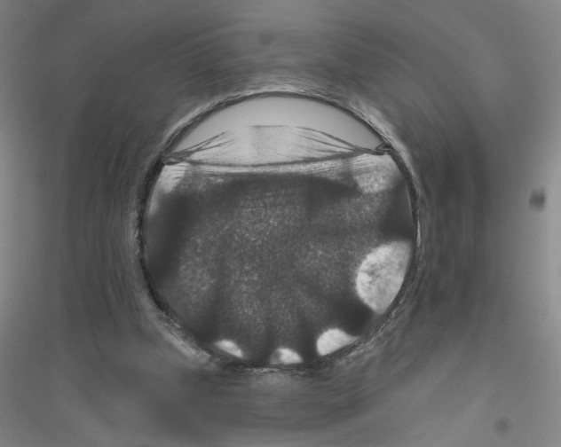X0000116870249201002021133