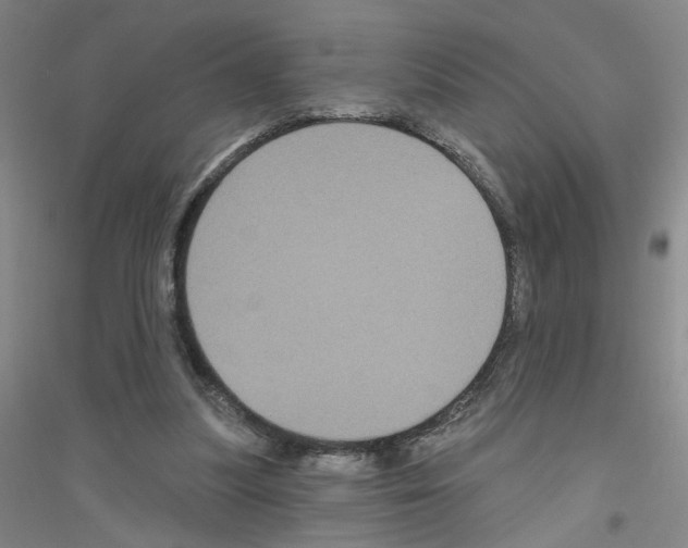 X0000116870251201002021133