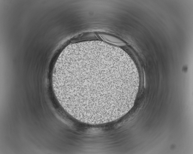 X0000116870252201002021133