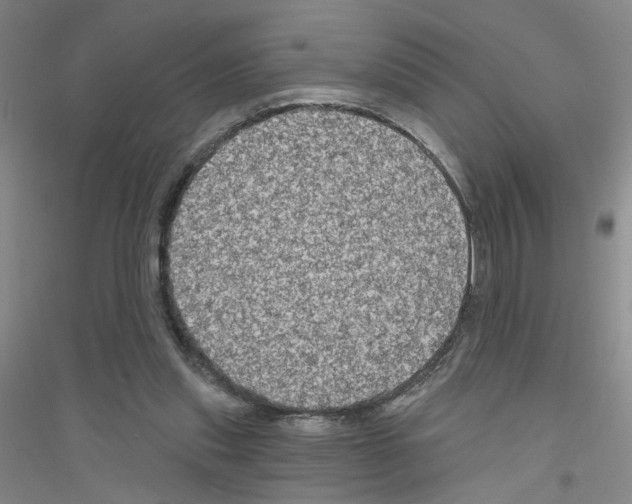 X0000116870253201002021133