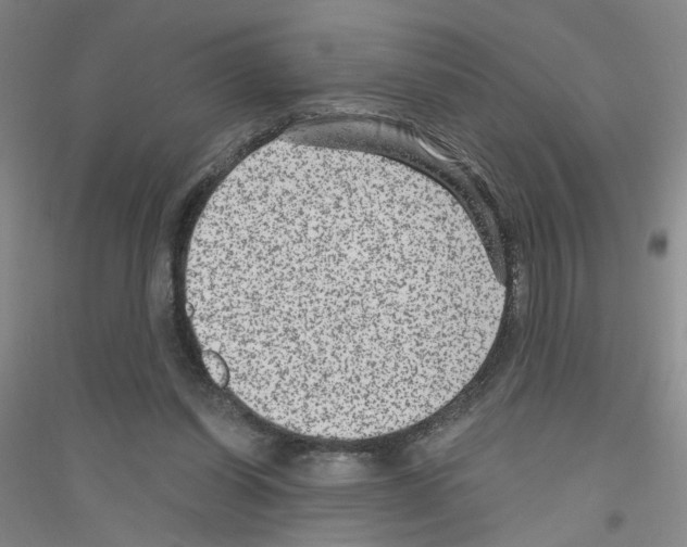 X0000116870254201002021133