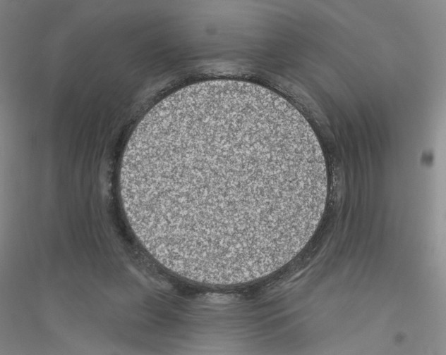 X0000116870255201002021133