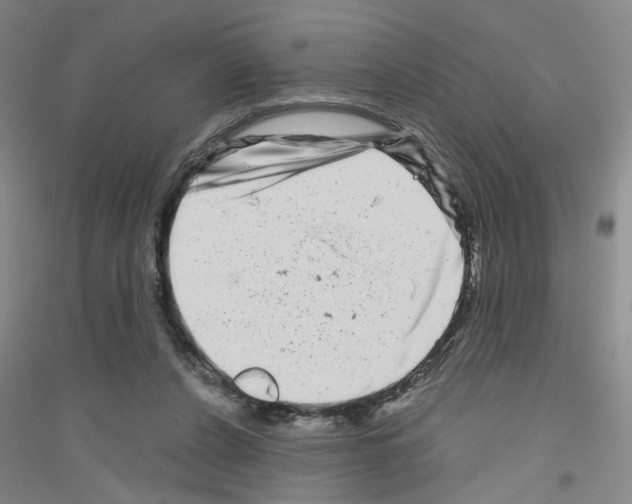 X0000116870256201002021133