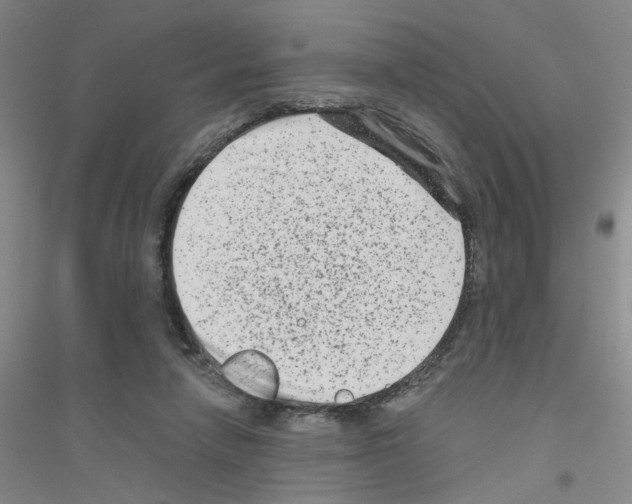 X0000116870258201002021133
