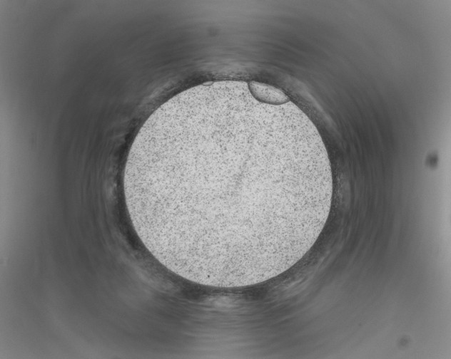 X0000116870259201002021133