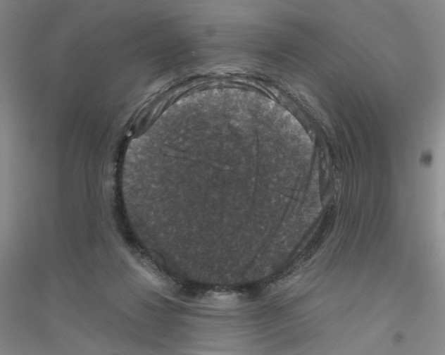 X0000116870260201002021133