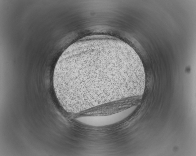 X0000116870261201002021133