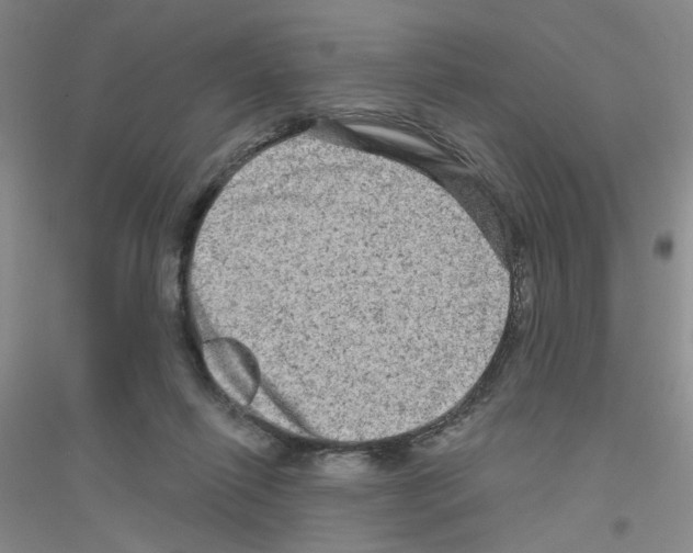 X0000116870262201002021133