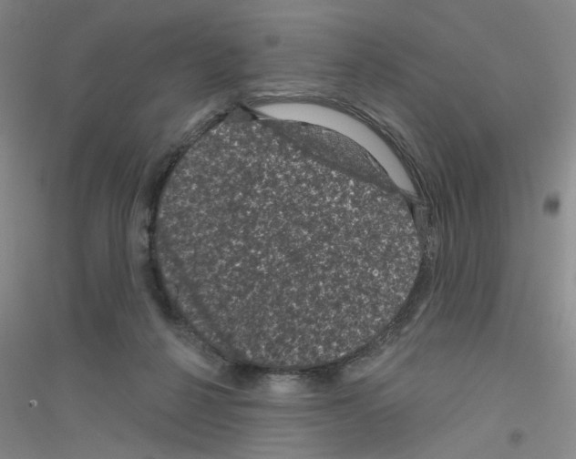 X0000116870264201002021133