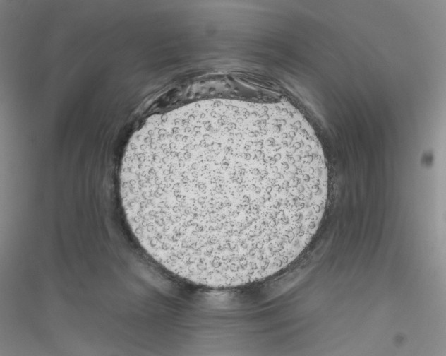 X0000116870265201002021133
