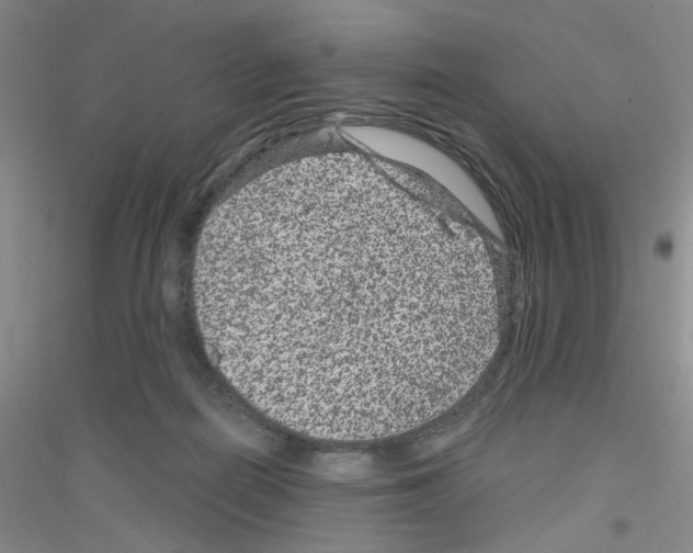 X0000116870266201002021133