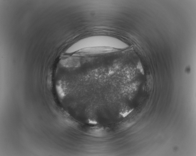 X0000116870267201002021133