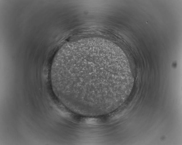 X0000116870268201002021133