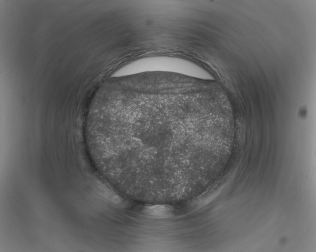 X0000116870269201002021133