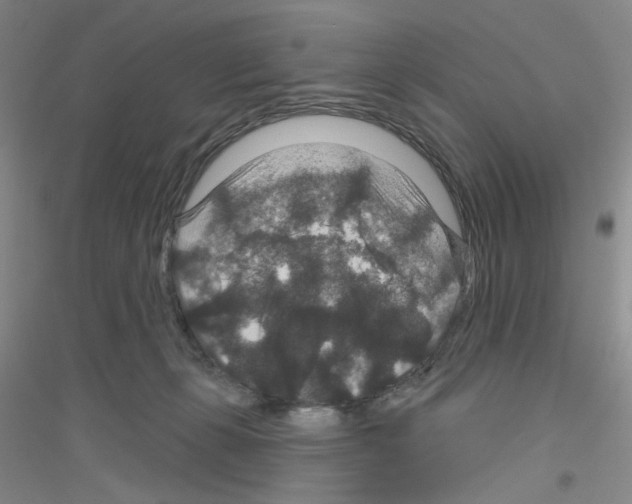 X0000116870271201002021133
