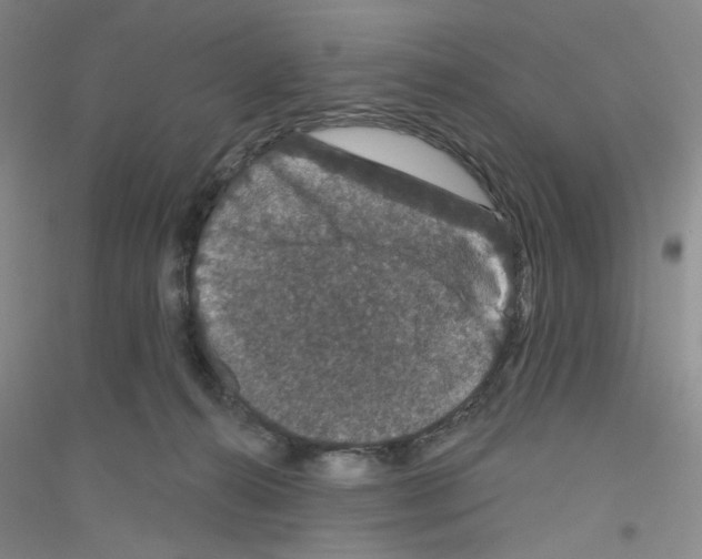 X0000116870272201002021133