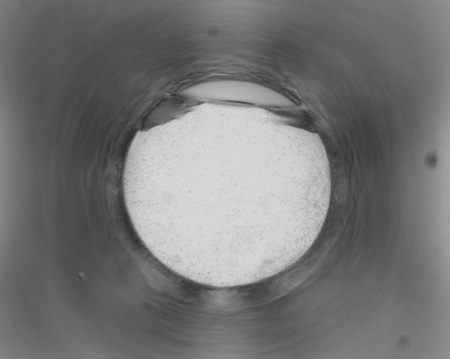 X0000116870273201002021133