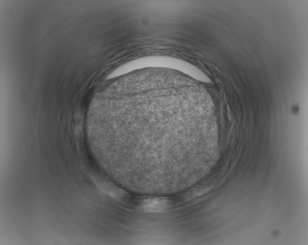 X0000116870274201002021133