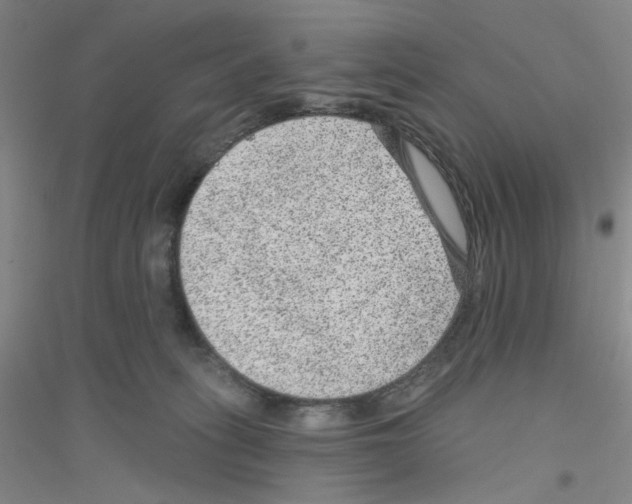 X0000116870275201002021133