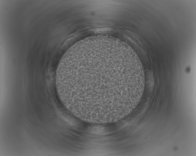 X0000116870276201002021133