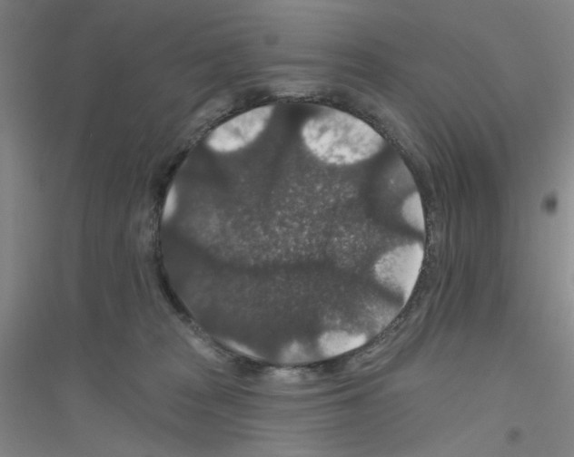 X0000116870277201002021133