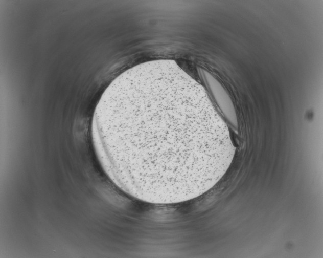 X0000116870278201002021133