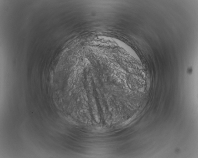 X0000116870279201002021133