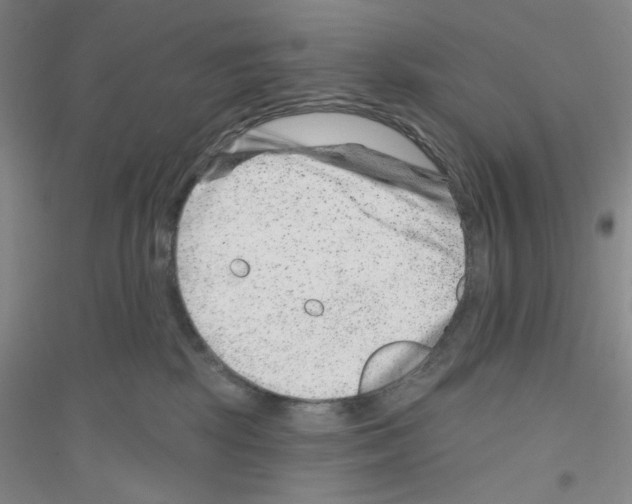 X0000116870281201002021133