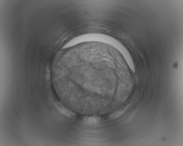 X0000116870282201002021133