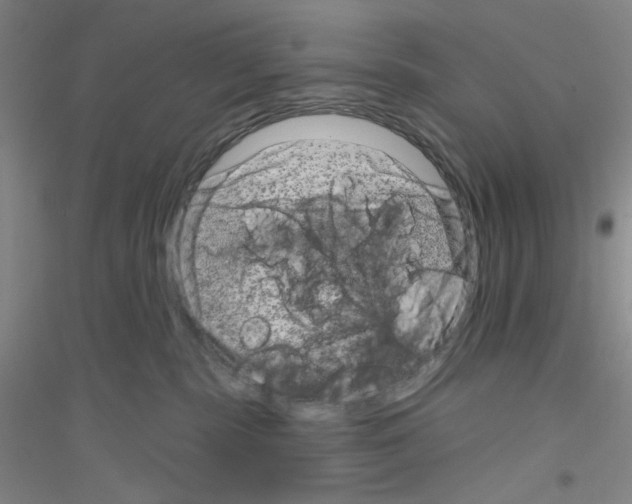 X0000116870283201002021133