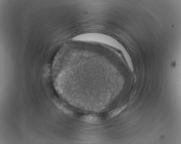 X0000116870284201002021133