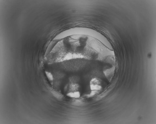 X0000116870285201002021133