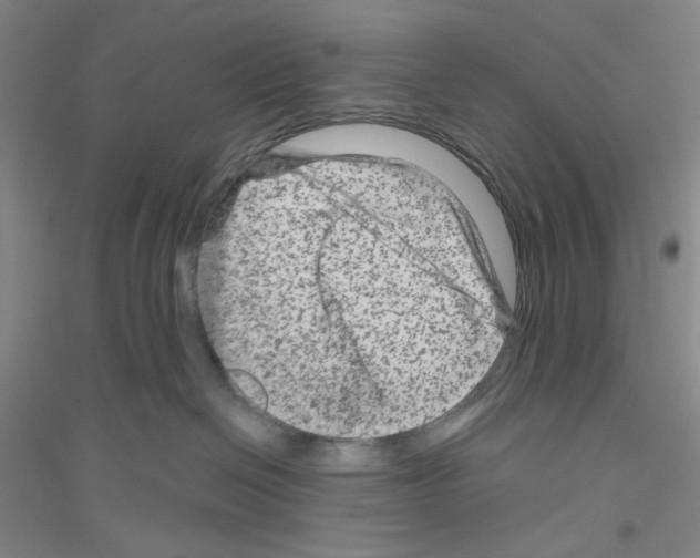 X0000116870286201002021134