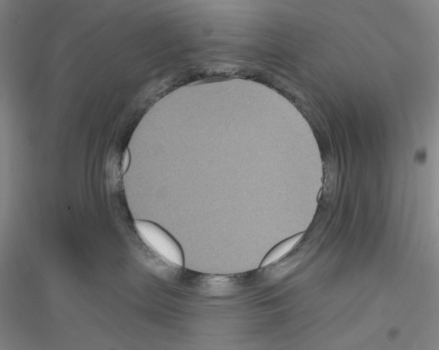 X0000116870287201002021134