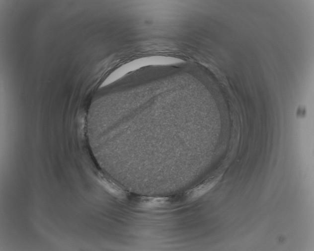 X0000116870288201002021134