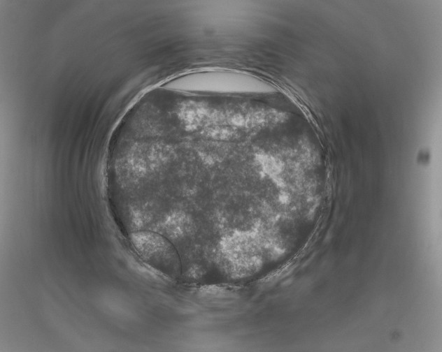 X0000116870290201002021133