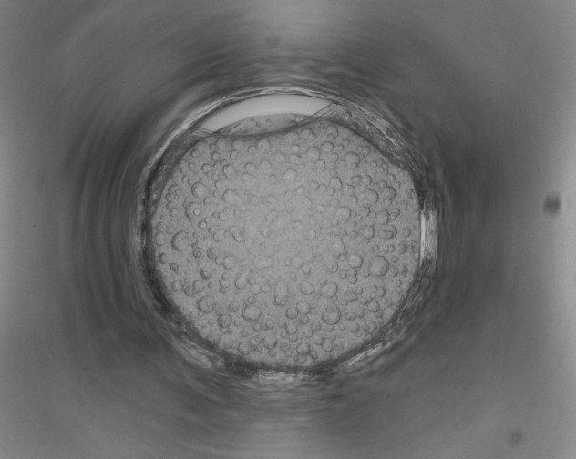 X0000116870291201002021133