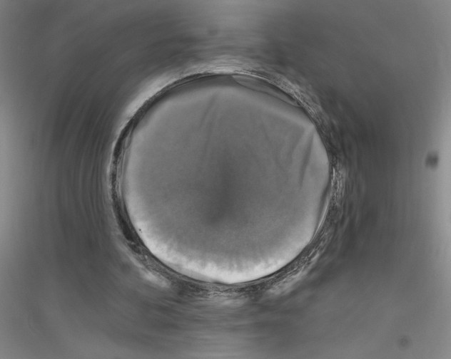 X0000116870292201002021133
