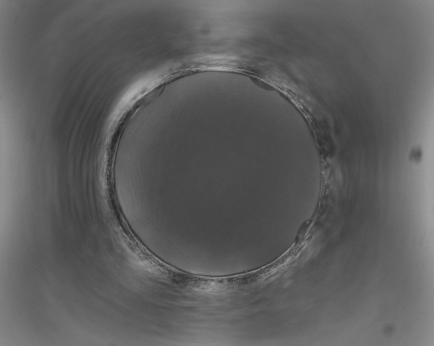 X0000116870293201002021133